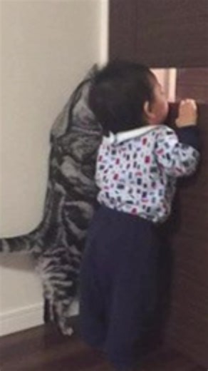 Funny Memes About Kids and Neighbors' Reactions