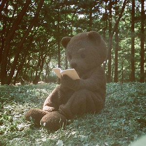 Conan Concert & Tour History (Updated for 2026) | Concert Archives