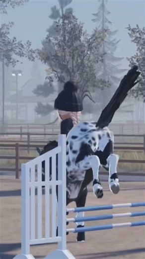 -{ my first proper jumping lesson with Hattie }- #strideway #hattie