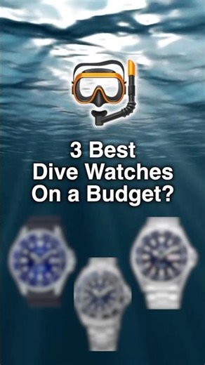 3 Best Budget Dive Watches...