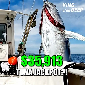 $35,913 Tuna Jackpot?! 5 Boats, 5 Giants – New Faces Challenge the Legends! Who Took the Crown? | Sage Hanna