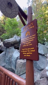 Ready for a unique experience that not a lot of guests know about? 🤫 Over at Disney California Adventure, you can visit Kenai’s Spirit Cave (themed after “Brother Bear”) at the Redwood Creek Challenge! 🐻 Once inside the cave, you can touch a paw print and you will discover the animal whose qualities you share 🦅🐺🦊🦝 Visit the “Book Your Vacation” tab on our website to find out more info & booking deals for this destination!✨ • • • • #disneylandresort #disneyland #disneycaliforniaadventure #d