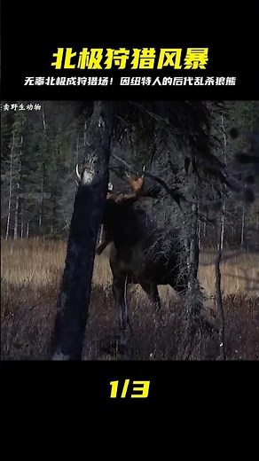 因紐特人后代荒野定居，無辜的北極成了他的狩獵場 #即錄觀世界 #紀錄片 #電影 #北極 #因紐特人
