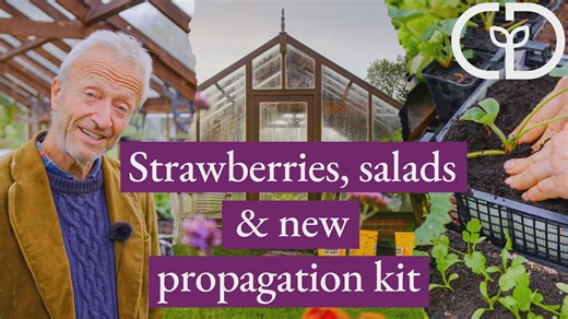 Indoor winter growing stage 2, and new kit || Charles Dowding