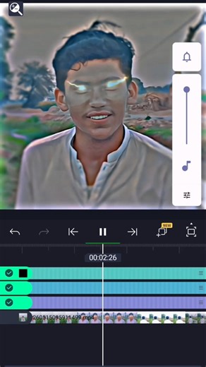 light motion video editing professional