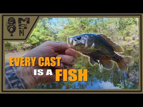 Pond Fishing, Ultralight Survival Kit & Campfire Bread | MSM Ep2