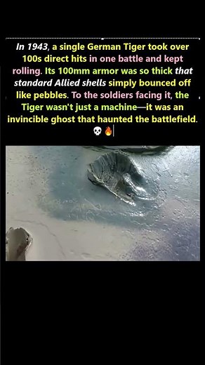 How WWII Tiger Tanks Survived 200+ Hits and Kept Firing #history