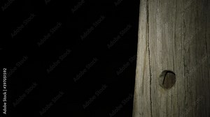 Southern Flying Squirrel at night jumping, in cavity, eating acorns