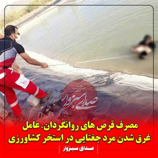 ‎صدای سبزوار‎ on Instagram‎: "🔴مصرف قرص های روانگردان، عامل غرق شدن مرد جغتایی در استخر کشاورزی 👤 رضا بهمنش، دادستان عمومی و انقلاب جغتای: 🔺مردی ۴۰ ساله ای که پیش از شنا قرص روانگردان مصرف کرده بود، با عبور از موانع و فنس‌های محافظ، خود را به داخل استخر کشاورزی انداخت و در نهایت غرق شد. 🔺با وجود رعایت نکات ایمنی توسط مالک استخر، این فرد با درآوردن لباسهایش و گذر از روی فنس وارد محوطه استخر شده و علت اصلی حادثه، اقدام شخصی او تحت تأثیر قرص روانگردان بوده است. 🔺این اتفاق در یکی از استخر‌های ک