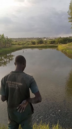 KAIFFA UGANDA on TikTok