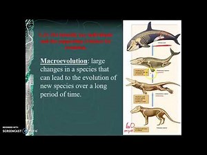 Speciation & Macroevolution Part 3 Bio 101