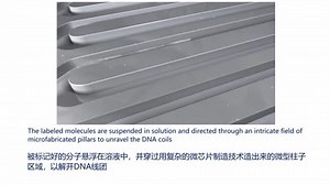 Bionano基因组分子图谱技术