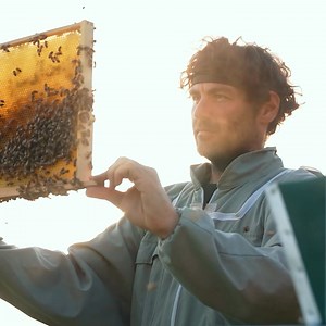 🐝 Master beekeeping in just 14 days with UK expert Laurence Edwards. Get real hive demos, practical lessons, and lifetime access — everything you need to start confidently. 🍯 | Black Mountain Honey