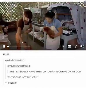 Happy International Sloth Day :) | IFLScience