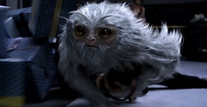 Phantastische Tierwesen und wo sie zu finden sind: FSK - Was Eltern wissen müssen!