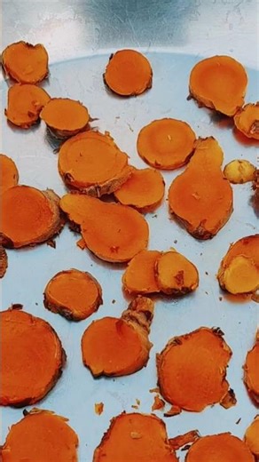 Turmeric dehydration or sun drying