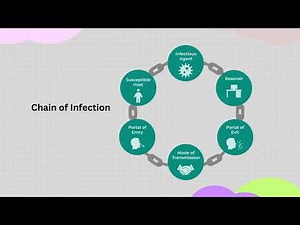 Chain of Infection #chainofinfection #infection