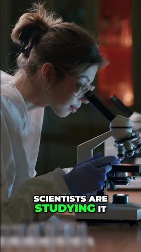 The Incredible Strength of Spider Silk Explained