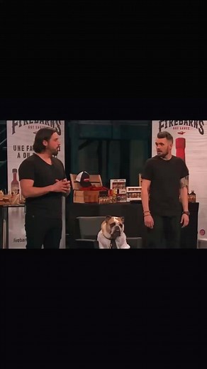 Hommage à Barney : Un Amour Inoubliable