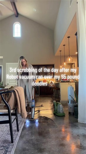 Robot Vacuum Mishap: My Doodle's Messy Adventure