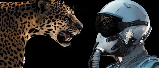 Extreme situations bring out your instincts, and those instincts are only as good as your training 🐆 With the power, speed, and precision of our F400 simulation projectors, you create a truly realistic training experience to prepare for extreme situations. ➡️ Discover the 2 new members that have joined the ranks 🎖️ https://ow.ly/Oyqp50PVEQN #BarcoTech #projection | Barco