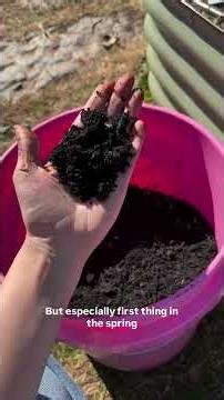 Spring Planting Motivation Starting Seeds & Dreaming of Fresh Garden Salads.