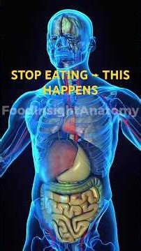 What Happens to Your Body When You Fast? (Hour by Hour) #dailyhabits #dailyshorts