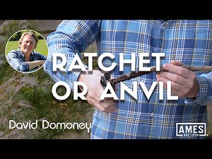 Anvil Pruners vs Ratchet Pruners: Which one should you use?