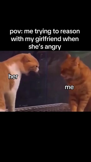 Dealing with an Angry Girlfriend: Funny Relationship Memes