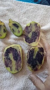 Diseases caused by Physiological disorder Black heart of potato and khaira Disease of Rice. Today's Topic is Black heart of potato Pls watch full video | Agriculture Activities