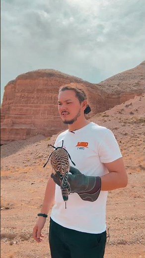 How to navigate without a compass