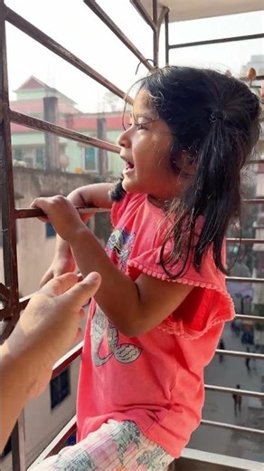 পিপড়ার দল দেখে তারা ভয়ে কুপোকাত।🤣#ants #goodmorning #funny #shorts