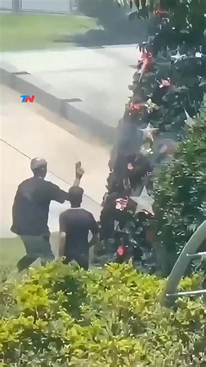 979K views · 25K reactions | Islamists throw Molotov cocktails at a Christmas tree setting it a blaze… Can you imagine if this was the other the other way around? | David J Harris Jr. | Facebook