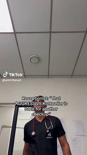 Managing Anxious Dogs at the Vet Clinic