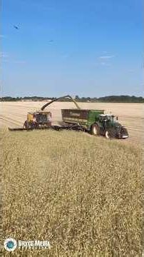 🚜 Selten zu sehen! New Holland FR780 mit MacDon FD235 | GPS-Häckseln bei BLUNK - VIDEO AM SONNTAG!