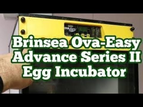 Brinsea Ova-Easy Advance Series II Egg Incubator / Allotment Free Rangers