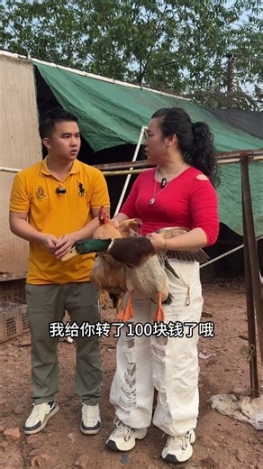 城里表姐周末回乡下玩，看到表弟的土鸡土鸭挺漂亮的，看他可怜卖不出去跟他买，100块钱只给了一只鸡鸭，表弟太过分了#万万没想到#意想不到的结局#情感视频#河源网红孵化基地