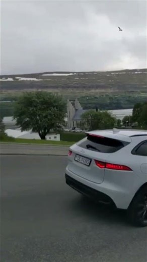 traveling blog #icelandtravel #cruiseship #cruiseshiplife