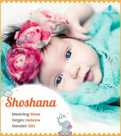 Shoshana Name Meaning And Origin: A Complete Guide