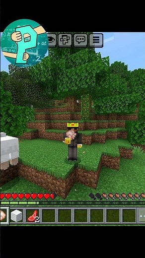 Minecraft But Proboiz Controlls me 🤥#minecraft #shorts