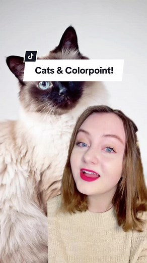 Cats & Colorpoint: Understanding Cat Genetics