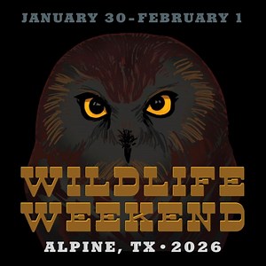 Calling all wildlife enthusiasts and conservationists! Join us for Alpine Wildlife Weekend, January 30-February 1, 2026 in Alpine, Texas—a weekend dedicated to Texas wildlife research, education, and conservation. Featured Programming: Keynote presentations and panel discussions Research presentations from Borderlands Research Institute graduate students Owl walks and guided habitat hikes led by wildlife biologists BONUS: Enter to win 3 nights at the Holland Hotel by signing up for the Visit Alp
