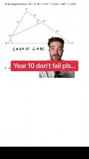 How to Find the Side in a Similar Triangle | Geometry Exam Study Tips