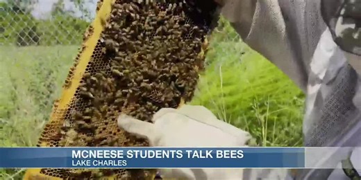 McNeese students learn what it takes to be a beekeeper