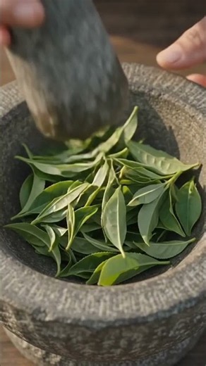 How to Process Fresh Tea Leaves at Home 🍃☕ #shorts