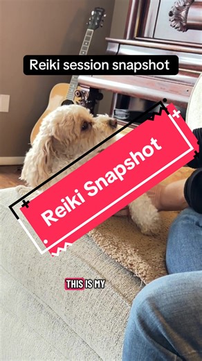 This is just a snapshot. A session for animals lasts 30 minutes and is done by distance healing. Willow has a vet appointment. Reiki is just a support for her in the meantime. #reiki #animals #healingprocess