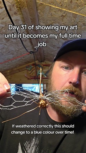 colour changing yay or nay? #art #wireart #copper #dragonfly #copperdragonfly