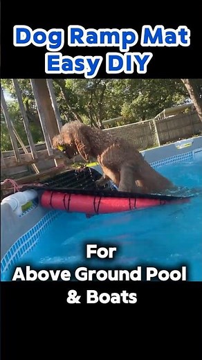 Dog Pool Ramp in Action 🐾 | Easy Mat Hack for Safe Water Exit! #dogsafety #diypool