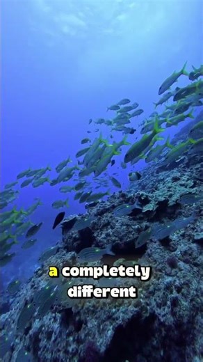 Your Eyes Change What You Hear: McGurk Effect