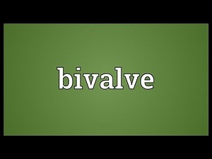 Bivalve Meaning